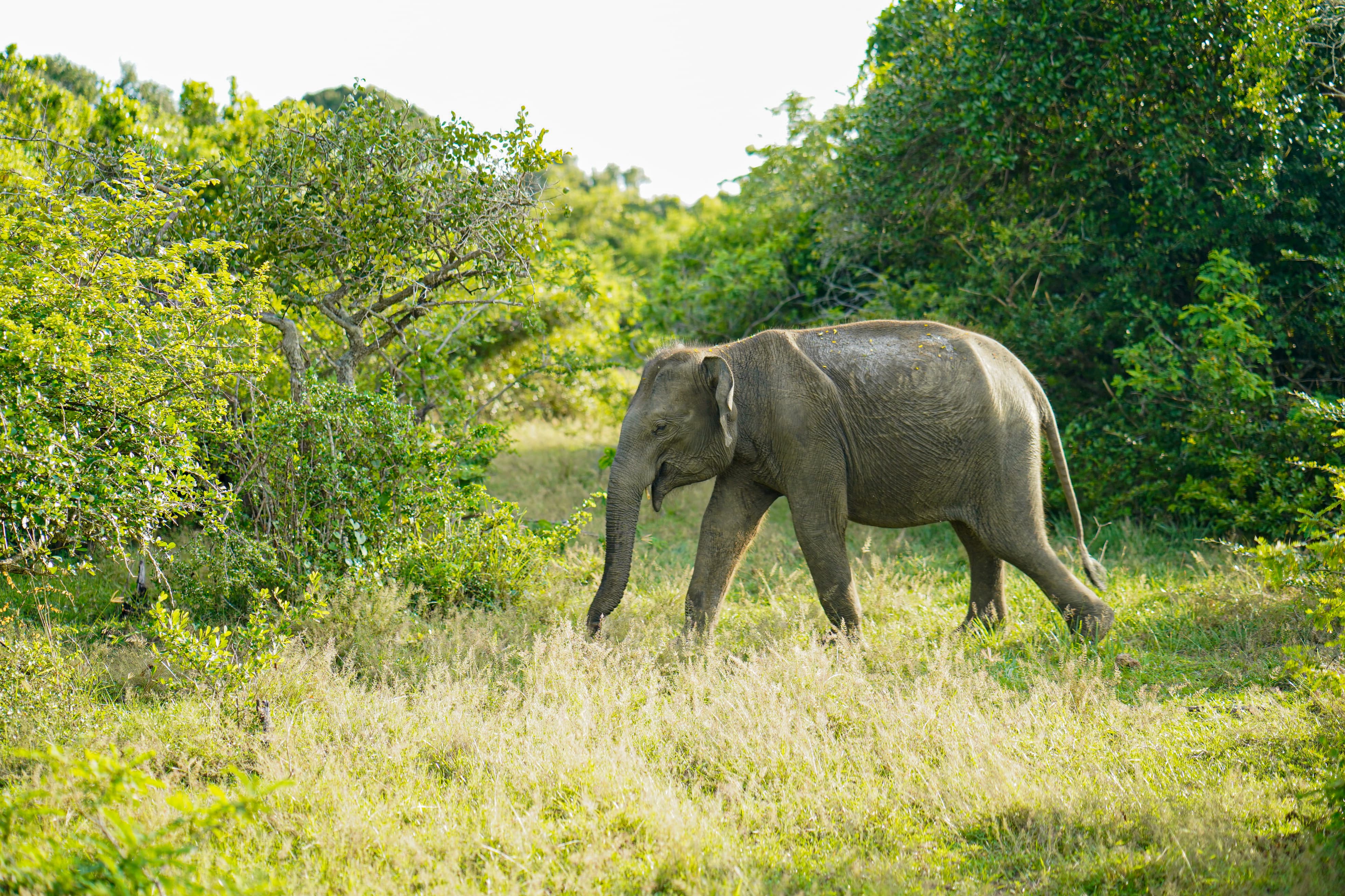 Destination Image 21